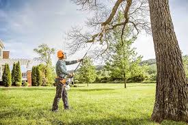 Best Storm Damage Tree Cleanup  in Lawson Heights, PA